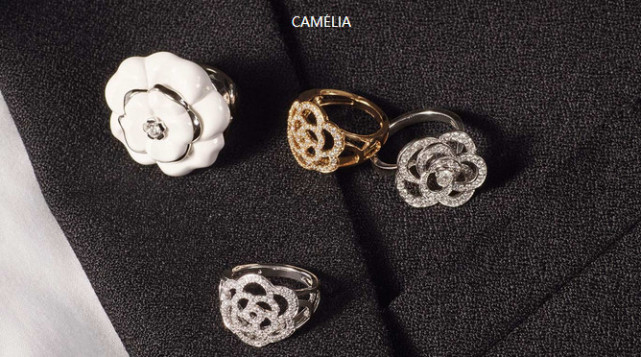 钟爱的不过是纯白的山茶花Coco Chanel(图5)